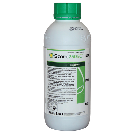SCORE 250EC
