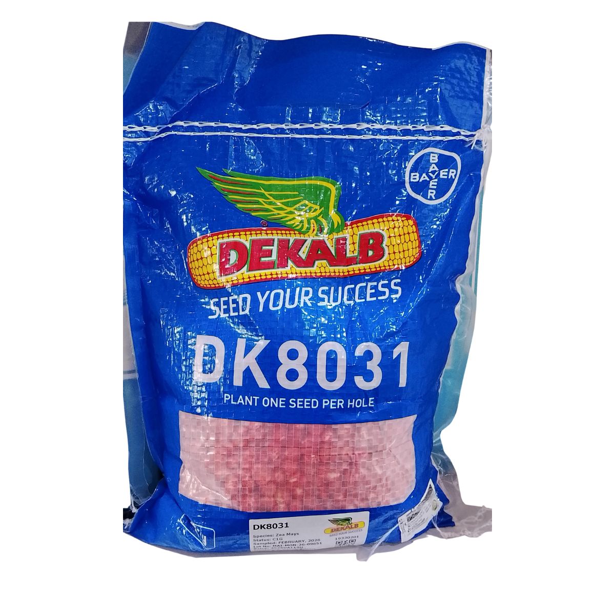 DK 8031 2KG
